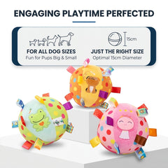 Colorful Squeaky Hanging Dog Training Toy