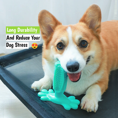 Dog Toothbrush Toy Chew Dental Cleaning Toy for Pets
