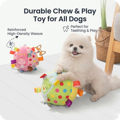 Colorful Squeaky Hanging Dog Training Toy