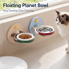 Wall-Mounted & Floor-Standing Ceramic Pet Bowl — Cats & Dogs