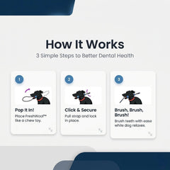 Dog Playful Dental Care