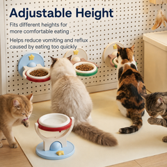Wall-Mounted & Floor-Standing Ceramic Pet Bowl — Cats & Dogs