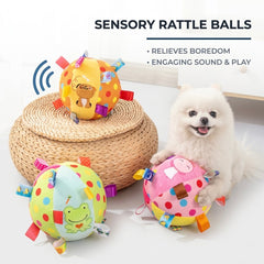 Colorful Squeaky Hanging Dog Training Toy
