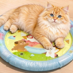 Pet Inflatable Water Play Mat