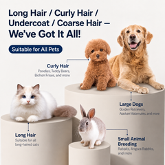 Hair-sucking pet rhair clippe