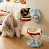 Wall-Mounted & Floor-Standing Ceramic Pet Bowl — Cats & Dogs