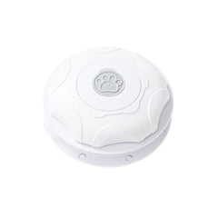 Automatic Self-Play Cat Teaser Toy