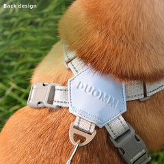X Shape Breathable Harness Leash Set