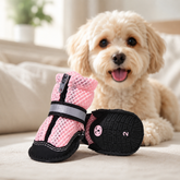 Zipper Dog Boots - 2 Pairs