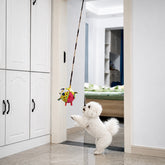 Colorful Squeaky Hanging Dog Training Toy