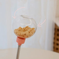 SnackChase Toy