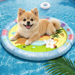 Pet Inflatable Water Play Mat