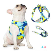 PetsLoveStory® Adjustable Dog & Cat Harness with Leash