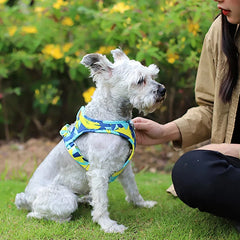 Adjustable Dog Cat Harness Vest No-Choke Pet Walking Harness