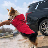 PetsLoveStory® Waterproof Puppy Raincoat with Leash Ring