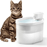 PetsLoveStory® Wireless Cat Water Fountain