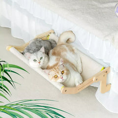 Cat Hammock