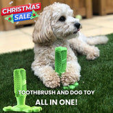 PetsLoveStory® Toothbrush Toy
