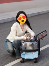 PetsLoveStory® Transparent Pet Travel Trolley