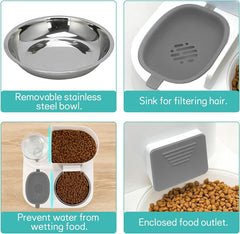Cat Feeder and Water Dispenser
