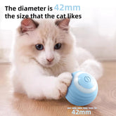 Cat Interactive Ball - PP38