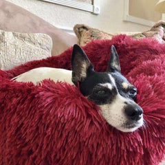 Plush Round Pet Bed