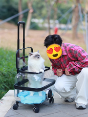 Transparent Pet Travel Trolley