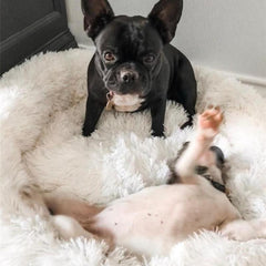 Plush Round Pet Bed