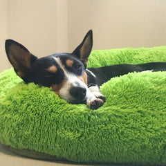 Plush Round Pet Bed