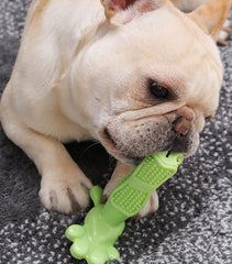 Dog Toothbrush Toy Chew Dental Cleaning Toy for Pets