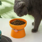 Ceramic Bowl for cat