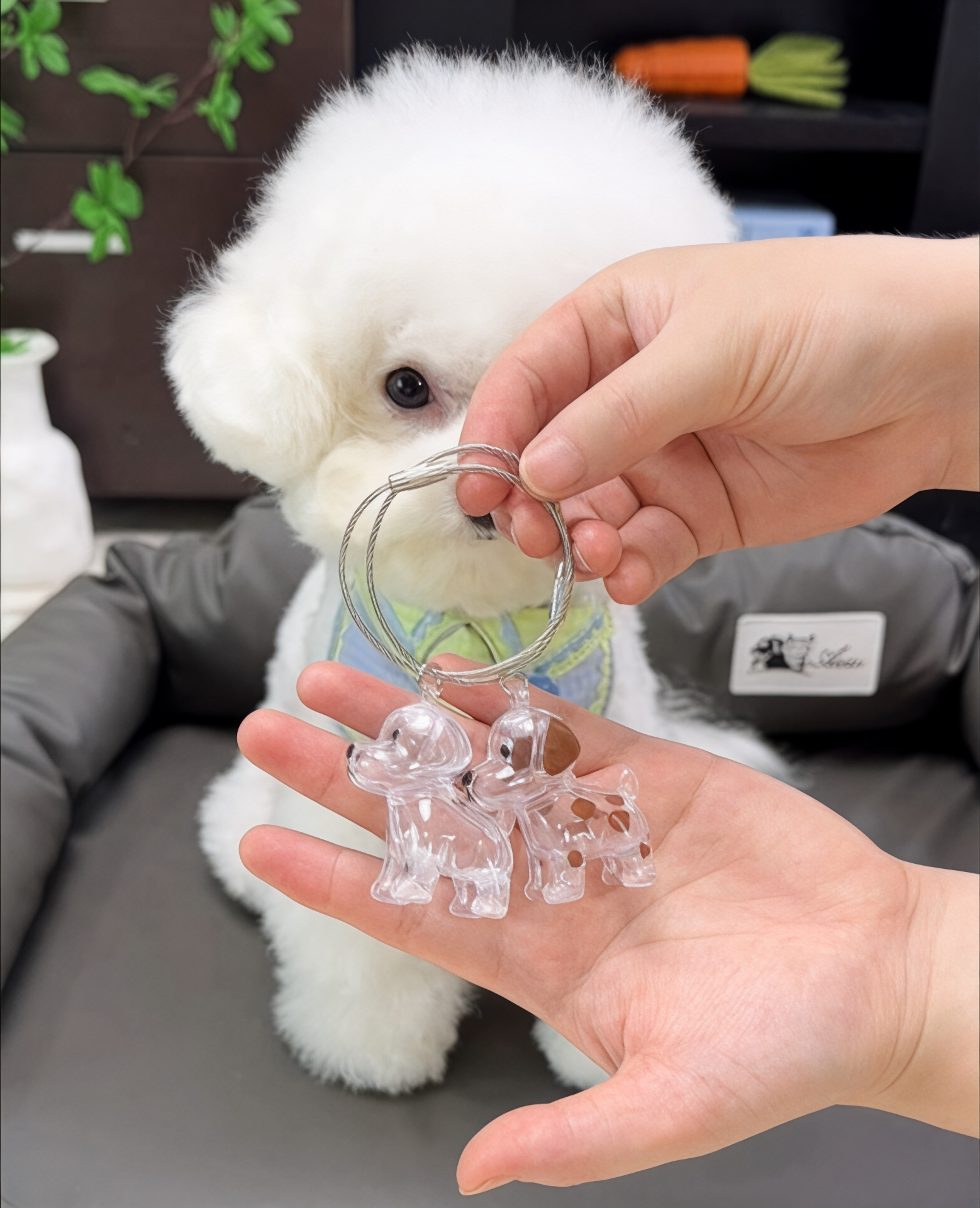 Pup Forever Fur Keepsake