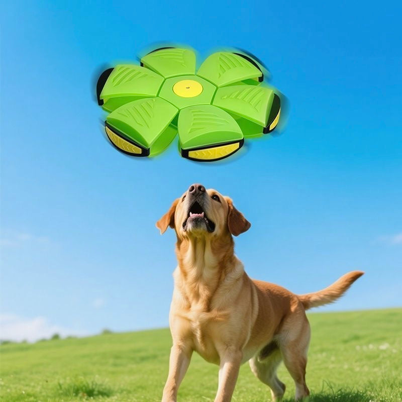 BouncePop Ball