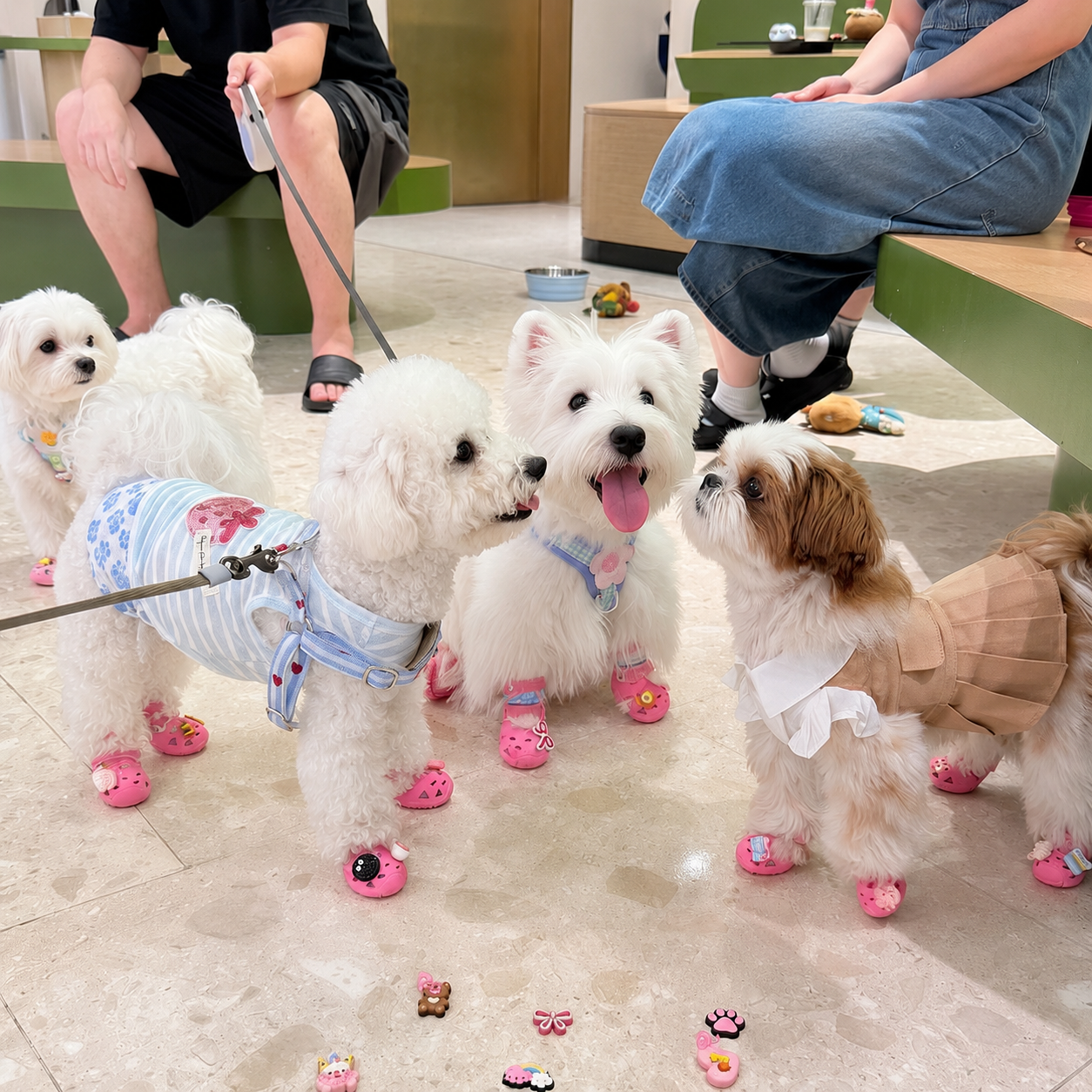 Dog Clogs with Charms