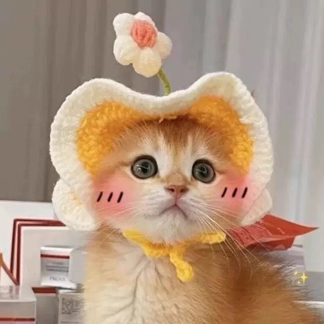 Cute Cat & Dog Costume Hat