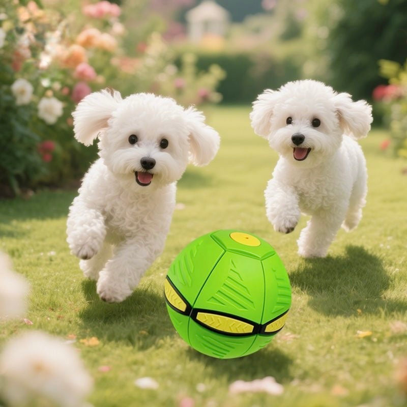 BouncePop Ball