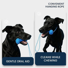 Dog Playful Dental Care