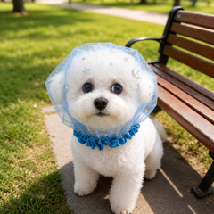 Mesh dog headgear