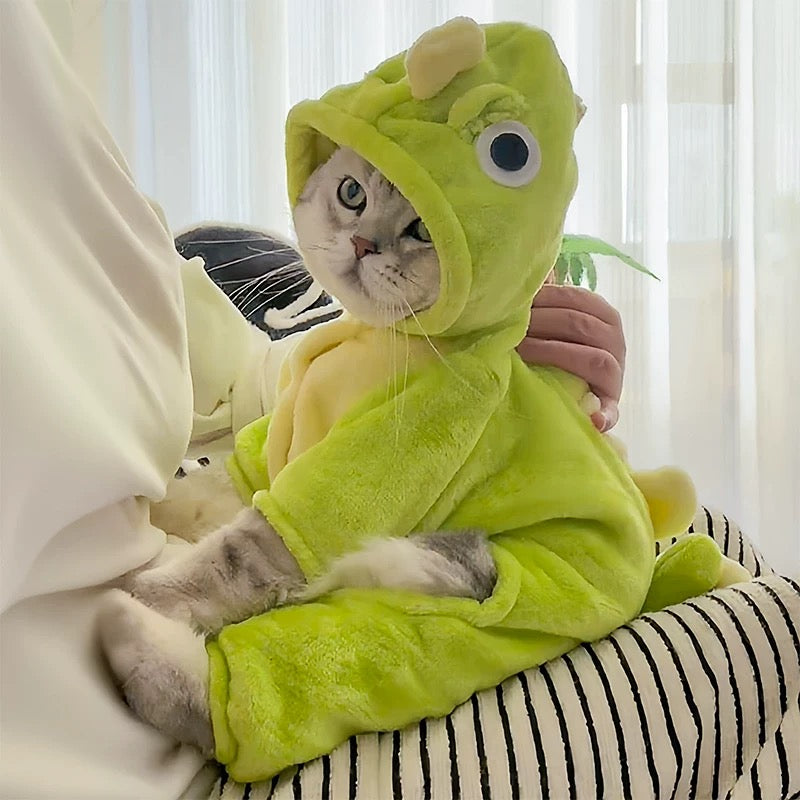 pet dinosaur costume