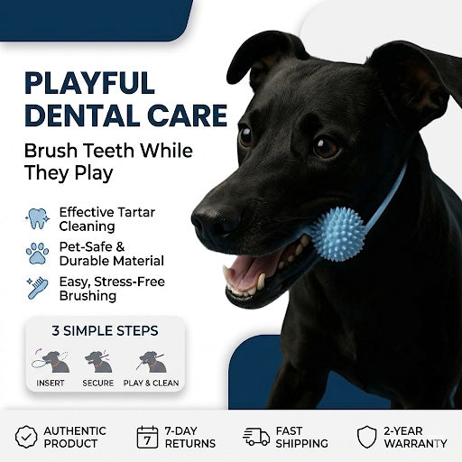 Dog Playful Dental Care