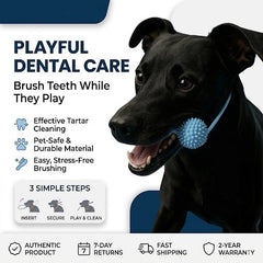 Dog Playful Dental Care