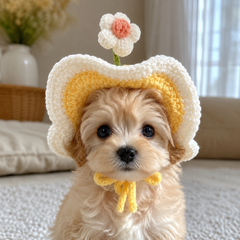 Cute Cat & Dog Costume Hat