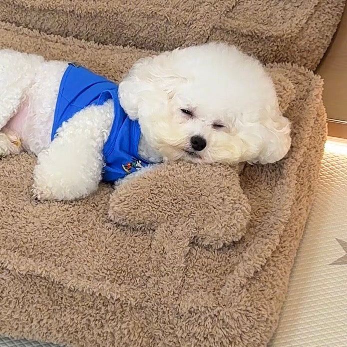 New Cozy Pet Bed
