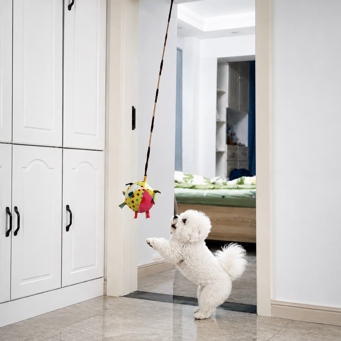 Colorful Squeaky Hanging Dog Training Toy