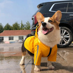 Waterproof Puppy Raincoat with Leash Ring Dog Rain Jacket Outdoor Coat