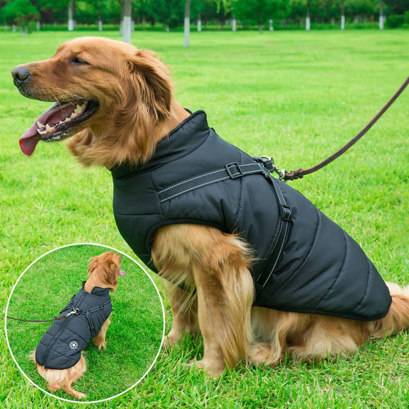 Dog Winter Jacket with Harness Warm Pet Coat for Outdoor Walking