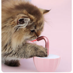 Automatic 360° Laser Cat Toy Interactive Rechargeable Catnip Play Toy