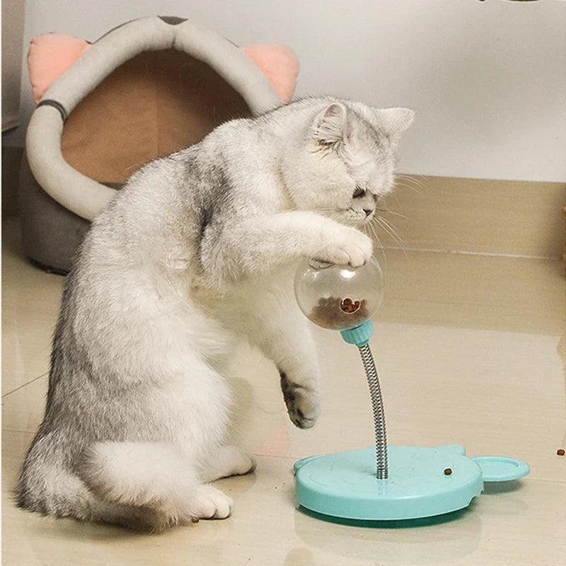 SnackChase Toy