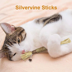 Silvervine Cat Chew Sticks Natural Cat Dental Chew Toy