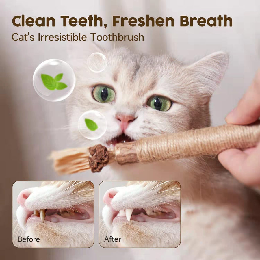 Silvervine Cat Chew Sticks Natural Cat Dental Chew Toy